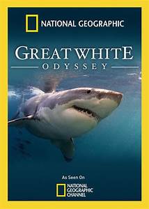 Watch Free Great White Odyssey (2008)