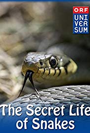 Watch Free The Secret Life of Snakes (2016)