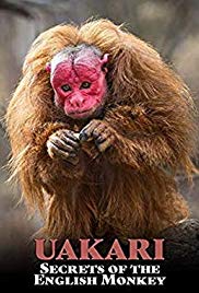 Watch Free Uakari: Secrets of the English Monkey (2009)
