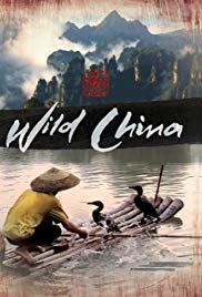 Watch Free Wild China (2008 )