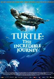 Watch Free Turtle: The Incredible Journey (2009)
