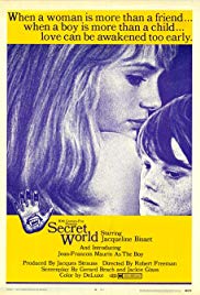 Watch Free Secret World (1969)