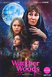 Watch Free The Watcher in the Woods (2017)