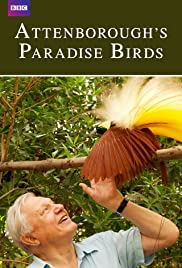 Watch Free Attenboroughs Paradise Birds (2015)