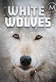 Watch Free White Wolves: Ghosts of the Arctic (2017)