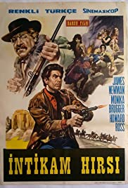 Watch Free Wanted Johnny Texas (1967)