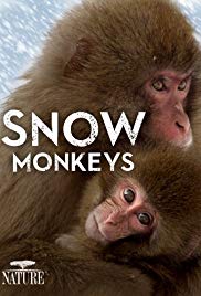 Watch Free Snow Monkeys (2014)