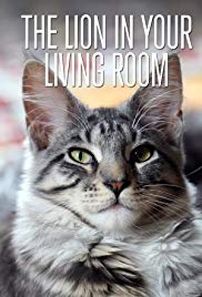 Watch Free The Lion in Your Living Room (2015)