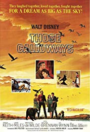 Watch Free Those Calloways (1965)