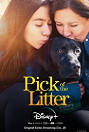 Watch Free Pick of the Litter (2018)