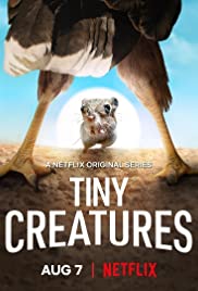Watch Free Tiny Creatures (2020 )