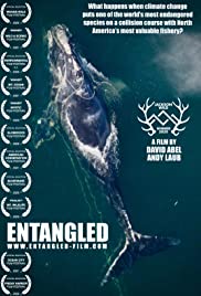 Watch Free Entangled: The Race to Save Right Whales from Extinction (2020)
