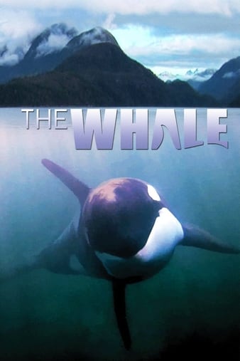 Watch Full Movie :The Whale (2011)
