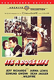 Watch Free Its a Dogs Life (1955)