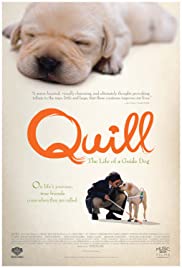 Watch Free Quill: The Life of a Guide Dog (2004)