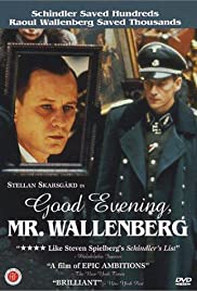 Watch Free Good Evening, Mr. Wallenberg (1990)