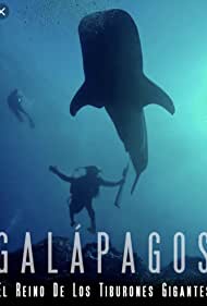 Watch Full Movie :Galapagos: Realm of Giant Sharks (2012)