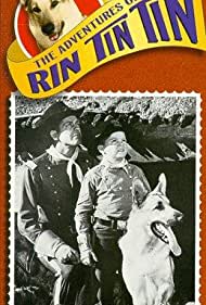 Watch Free The Adventures of Rin Tin Tin (19541959)