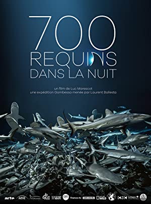 Watch Free 700 requins dans la nuit (2018)