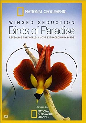 Watch Full Movie :Winged Seduction: Birds of Paradise (2012)