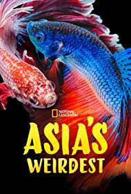 Watch Full Movie :Asias Weirdest (2021)