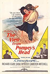 Watch Free The View from Pompeys Head (1955)