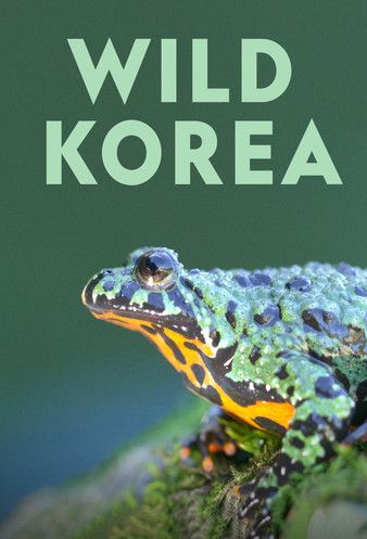 Watch Full Movie :Wild Korea 2022