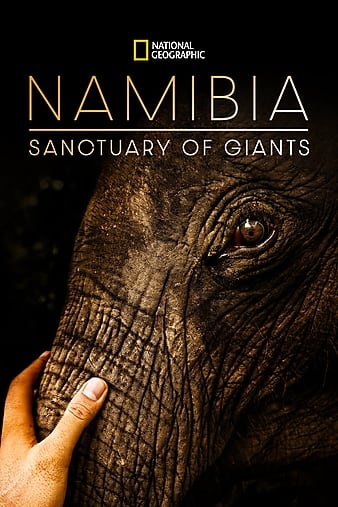 Watch Free Namibia, Sanctuary of Giants (2016)