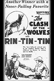 Watch Free Clash of the Wolves (1925)