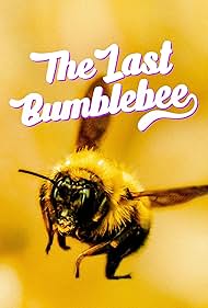 Watch Free The Last Bumblebee (2024)