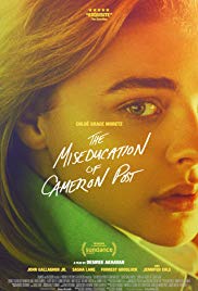 Watch Free The Miseducation of Cameron Post (2018)