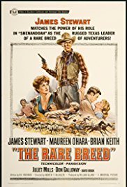 Watch Free The Rare Breed (1966)