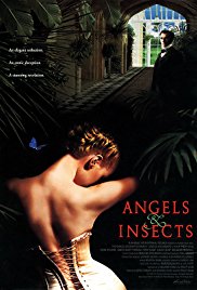 Watch Free Angels and Insects (1995)