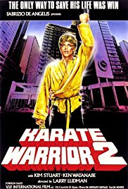 Watch Full Movie :Karate Warrior 2 (1988)