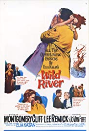 Watch Free Wild River (1960)