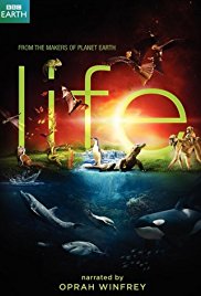 Watch Free Life (2009)