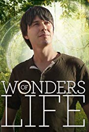 Watch Free Wonders of Life (2013 )