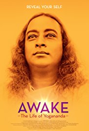 Watch Free Awake: The Life of Yogananda (2014)
