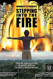 Watch Full Movie :Stepping Into the Fire 2011