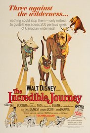 Watch Free The Incredible Journey (1963)